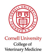 Cornell