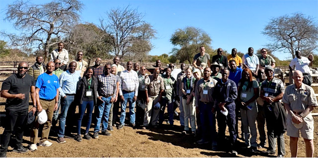group photo